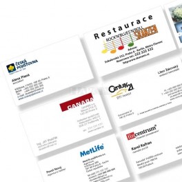 Business cards 90 x 50 mm